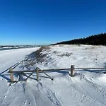 Morskie Kopalino Caloroczne * Lubiatowo (Pomerania)