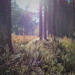 Morskie Kopalino Caloroczne Feriehus *