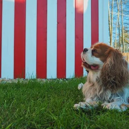 بيت للعطل Morskie Kopalino Caloroczne لوبيتاتو