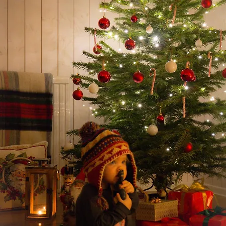 Dom wakacyjny Morskie Kopalino Całoroczne Lubiatowo (Pomerania)