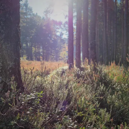Morskie Kopalino Caloroczne بيت للعطل *