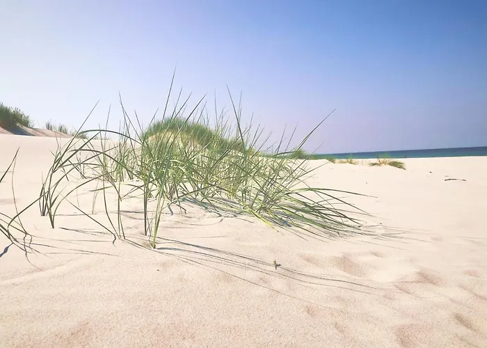 Morskie Kopalino Caloroczne بيت للعطل