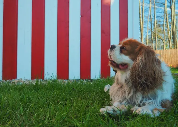 بيت للعطل Morskie Kopalino Caloroczne لوبيتاتو