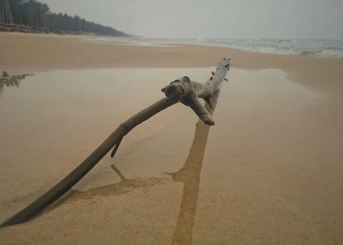 Morskie Kopalino Caloroczne بيت للعطل لوبيتاتو