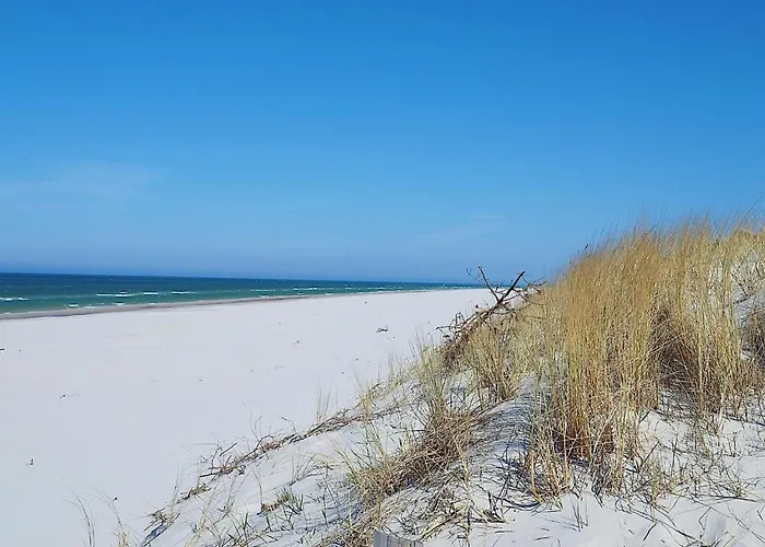 Morskie Kopalino Caloroczne * لوبيتاتو