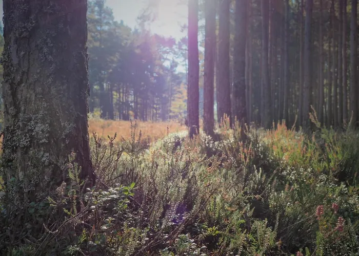 Morskie Kopalino Caloroczne بيت للعطل *